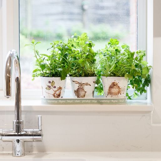 Květináče Wrendale Designs "Country Animal", 3 ks - Zajíc, myška, ptáček