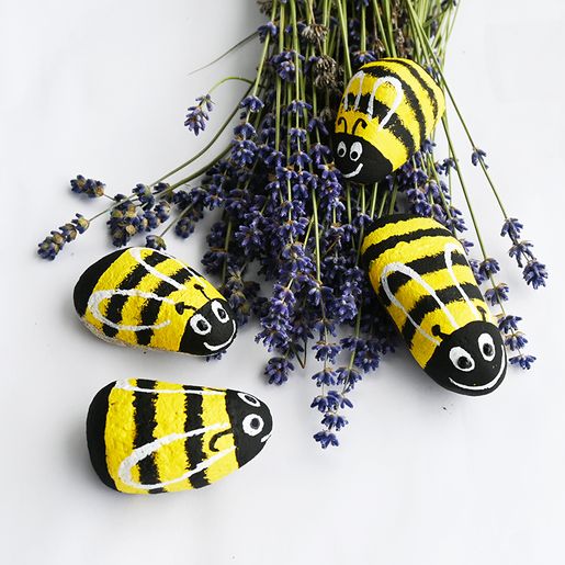 Akrylové barvy Cadence, 25 ml, sada 6 ks a akrylový lak - základní