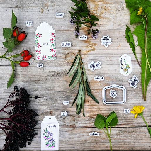 Razítka Aladine Stampo Hobby, 41 ks - Bylinky