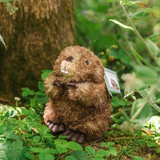 Plyšová hračka Wrendale Designs "Beaver Chester" - Bobr, mládě