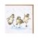 Přání Wrendale Designs "Puddle Ducks 15x15 cm - Káčátka
