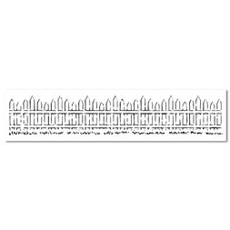 Šablona TCW 16,5"x6" (42x15 cm) - Picket Fence