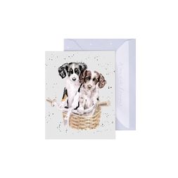 Dárková kartička Wrendale Designs "Paws and Pedals" - Pejsci