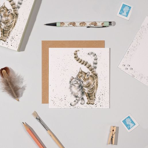 Sada přání a obálek Wrendale Designs, "Feline Good", 12x12 cm - Kočky