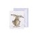 Dárková kartička Wrendale Designs "Hare-Brained" - Zajíc