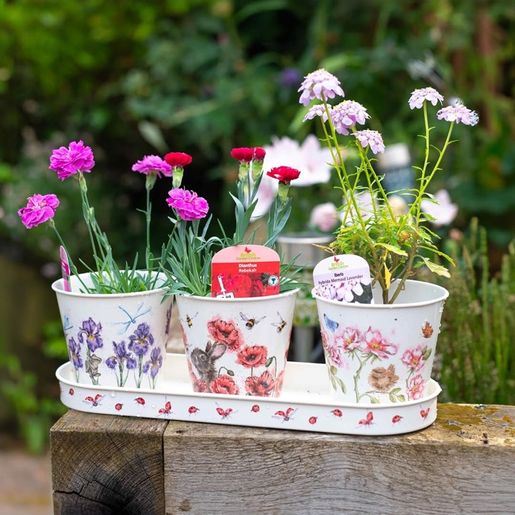 Květináče Wrendale Designs "Floral", 3 ks - Králík a květiny