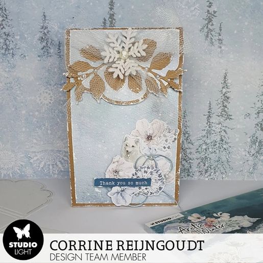 Scrapbookový blok Studio Light "Arctic Winter", 30,5x30,5 cm, 24 l. - Polární zima