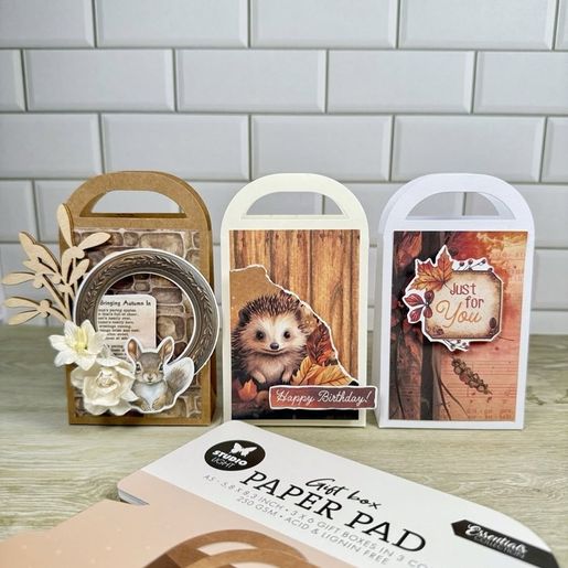 DIY Dárkové taštičky Studio Light, A5, 18 l. - bílé, krémové, kraft