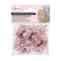 Sušené květiny do pečetí Aladine - rose poudré, pudrově růžové