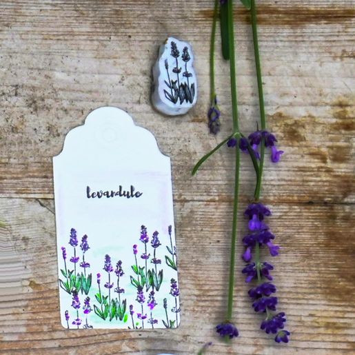 Razítka Aladine Stampo Hobby, 41 ks - Bylinky