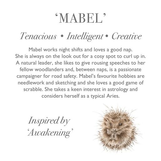 Plyšová hračka Wrendale Designs "Hedgehog Mabel" - Ježek, mládě