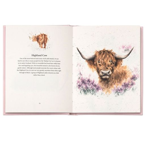 Kniha Wrendale Designs "The Farmyard Set" - Zvířata na farmě