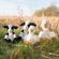 Plyšová hračka Wrendale Designs "Holstein Cow Mathilda" - Holštýnská kráva, mládě