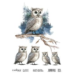 Transferový obrázek Cadence Easy Transfer, 25x35 cm - Sova