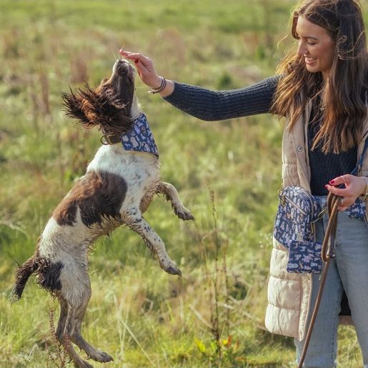 Šátek pro psy Wrendale Designs, vel. M/L - Pejsci