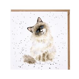 Přání Wrendale Designs "Paws for Thought", 15x15 cm - Kočka