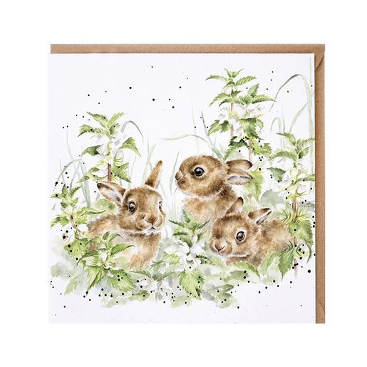 Přání Wrendale Designs "Spring Hares", 15x15 cm - Zajíci