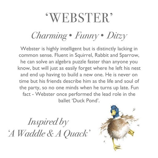 Plyšová hračka Wrendale Designs "Duck Webster", velká - Kačer