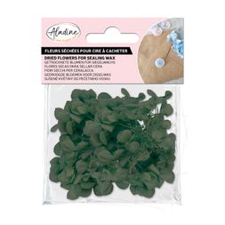 Sušené květiny do pečetí Aladine - vert, zelené