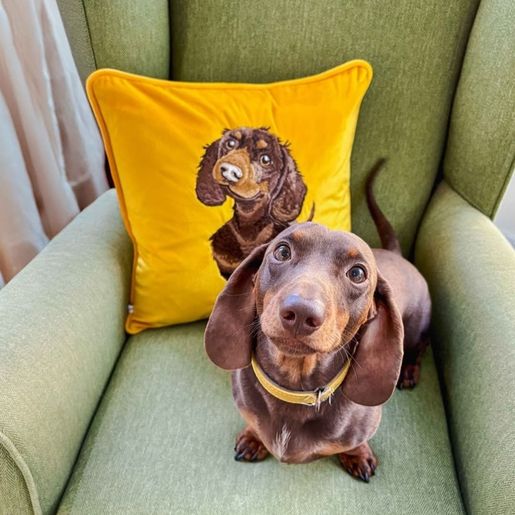 Vyšívaný polštář Wrendale Designs "Little Sausage", 40x40 cm - Jezevčík