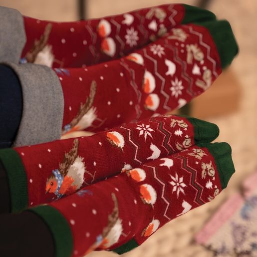 Dámské ponožky Wrendale Designs "Season