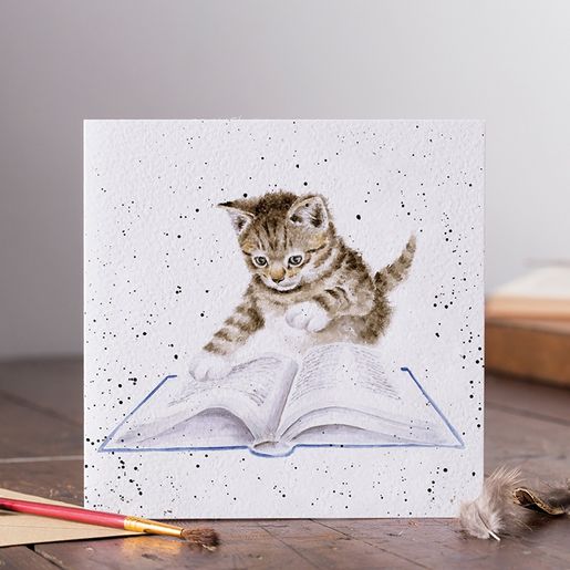 Přání Wrendale Designs "The Bookworm", 15x15 cm - Kočka