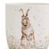 Porcelánový hrnek Wrendale Designs "Fresh as a Daisy", 0,31 l - Zajíc