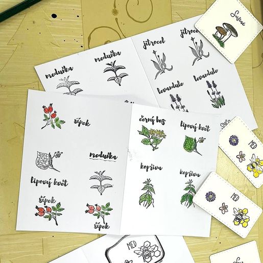 Razítka Aladine Stampo Hobby, 41 ks - Bylinky