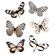 Průhledné samolepky Studio Light "Grunge" - Motýli