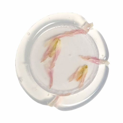 Průsvitný pečetní vosk granulovaný Aladine - translucide blanc, bílý