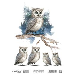 Transferový obrázek na textil Cadence, 25x35 cm - Sova