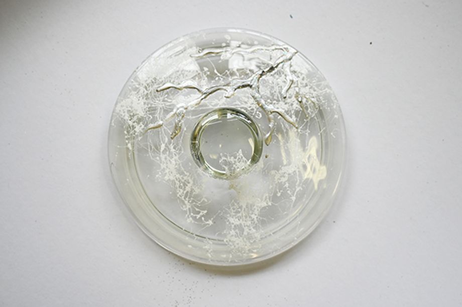 Lucerna nebo dóza na perníčky