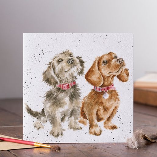 Přání Wrendale Designs "Treat Time", 15x15 cm - Pejsci