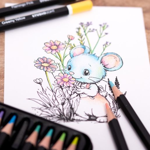 Pastelové pastelky Studio Light, 12 ks