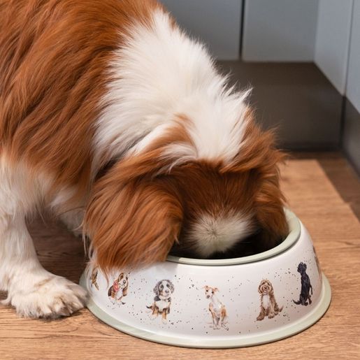 Nerezová miska pro psy Wrendale Designs