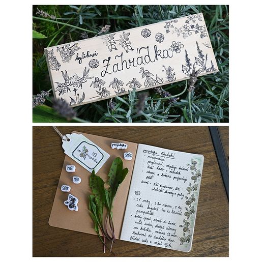 Razítka Aladine Stampo Hobby, 41 ks - Bylinky