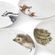 Jídelní porcelánový talíř Wrendale Designs - Liška