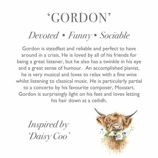 Plyšová hračka Wrendale Designs "Highland Cow Gordon", super - Kráva