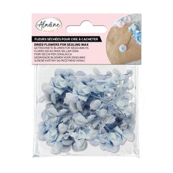 Sušené květiny do pečetí Aladine - bleu, modré