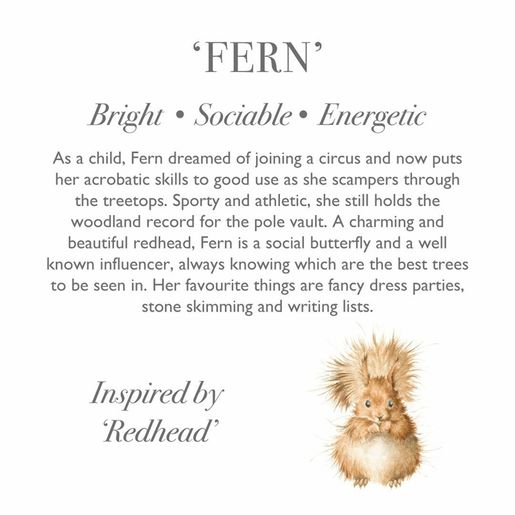 Plyšová hračka Wrendale Designs "Squirrel Fern", velká - Veverka