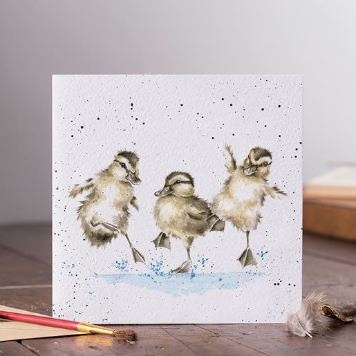 Přání Wrendale Designs "Puddle Ducks ", 15x15 cm - Káčátka