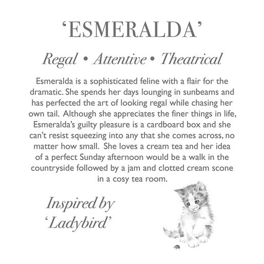 Plyšová hračka Wrendale Designs "Cat Esmeralda" - Kočka, mládě