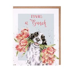 Děkovné přání Wrendale Designs "Thanks a Bunch " - Kokršpaněl