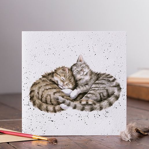 Přání Wrendale Designs "Sweet Dreams", 15x15 cm - Kočky