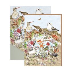 Sada přání a obálek Wrendale Designs "Secrets of the Sea", 8 ks - U moře