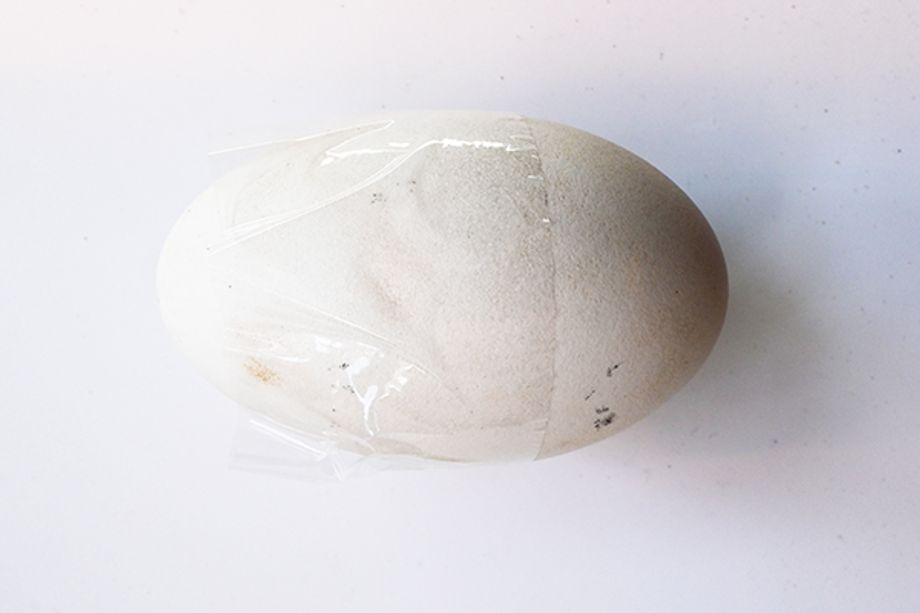 Velikonočn&iacute; vejce s raz&iacute;tky