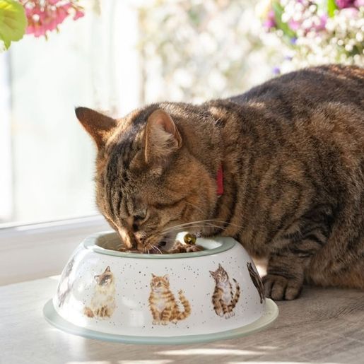 Nerezová miska pro kočky Wrendale Designs